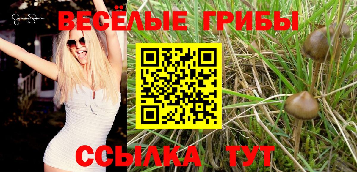 Галлюциногенные грибы GOLDEN TEACHER Ялуторовск