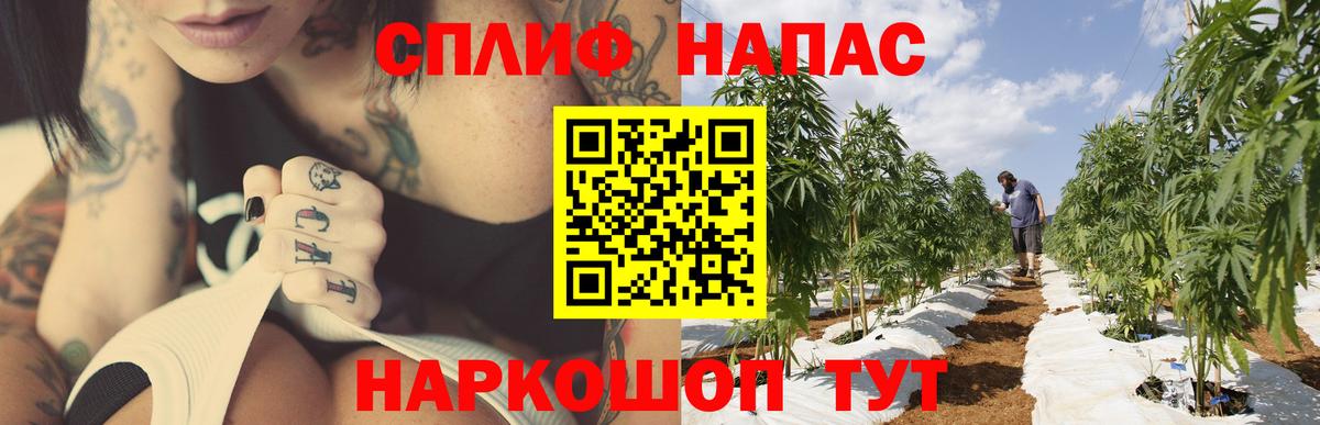 Конопля сатива  Бошки Шишки THC 21%  Вход с VPN  Ялуторовск  Шишки марихуана MAZAR 
